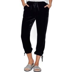 Joie Dark Navy Velvet/Velour Drye Caviar Cropped Mid-Rise Pants Size Small